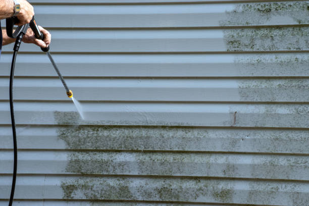 Best Foreclosure Cleanout  in Shokan, NY